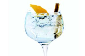 Gin Tonic